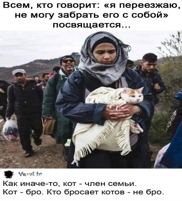 Так себе картинки 31.12.25