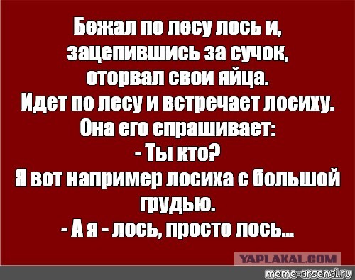 С дороги лягушонкоеды!