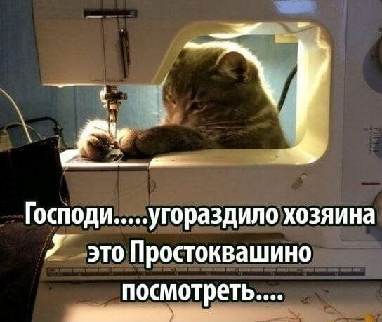Вторника картинки
