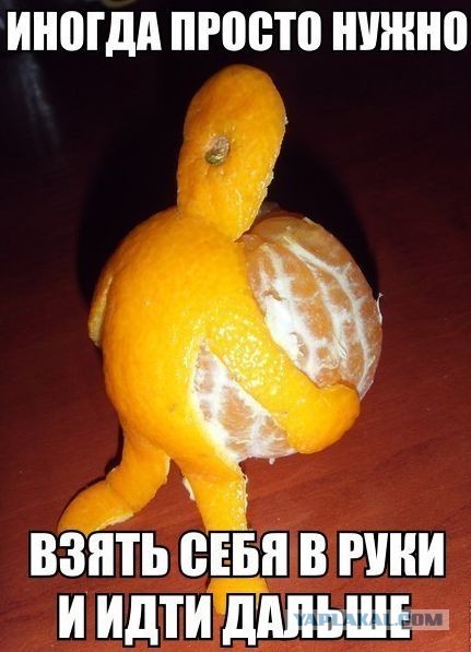 Философическое (с)