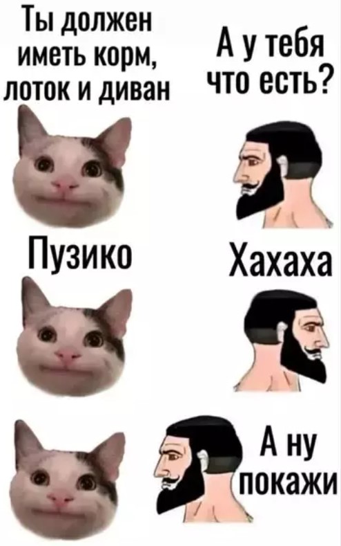 Котямбосы