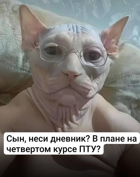 Картинки для деградации 171 (разной степени свежести)