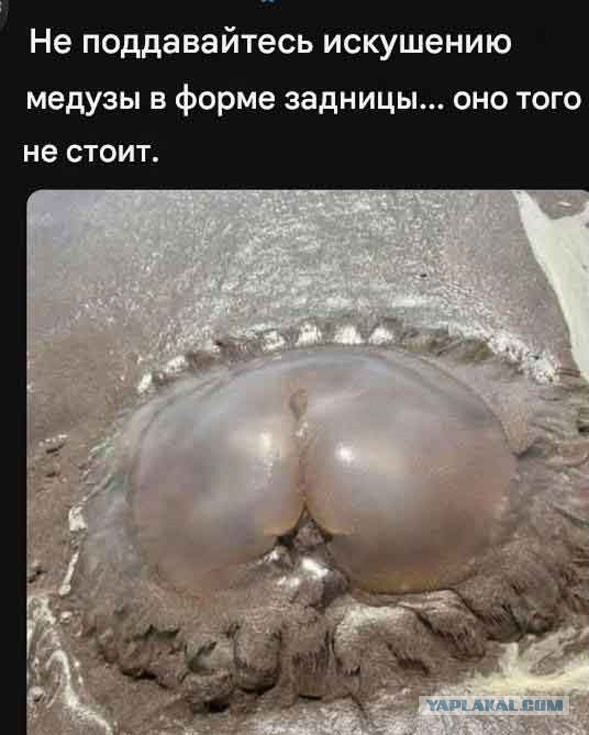 Пятничные тРРРидцать тРРРи от 29 мая