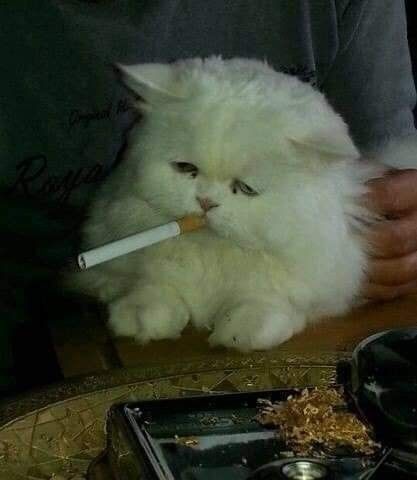Ну а кому сейчас легко?