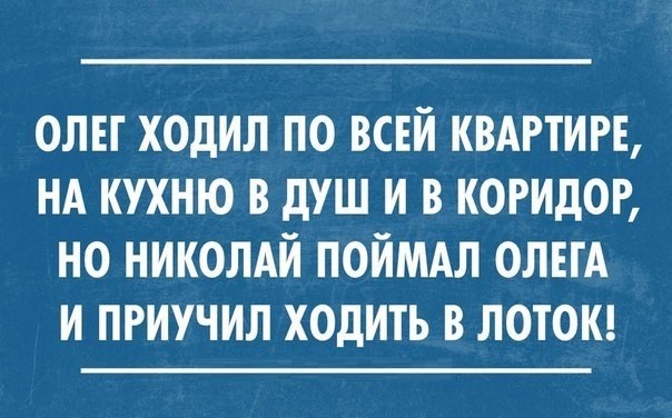 Веселое настроение в картинках 10.08.26