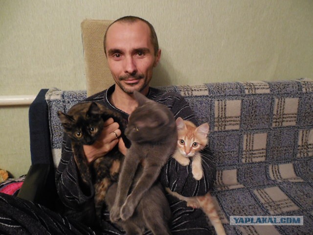 Жизнь удалась