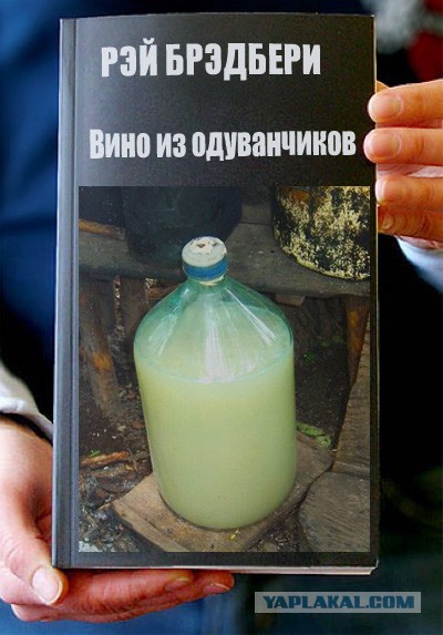 Фотожаба: Книги!