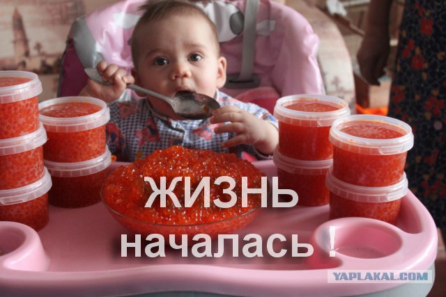 Попросили бабушку
