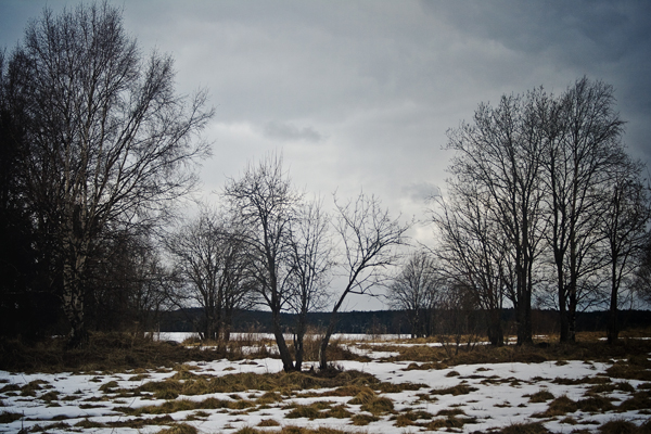 Скоро зима, товарищи !