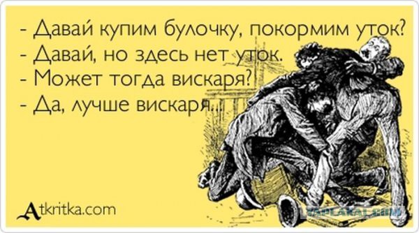 Смешные картинки
