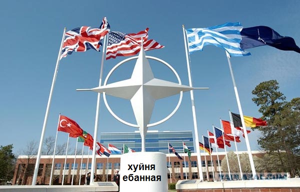 НАТО сдало Украину, оказав помощь языком