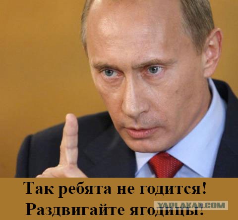 Попросили в одной фото совместить