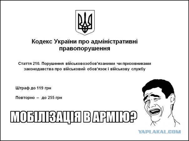 Ну вот и к нам пришла война