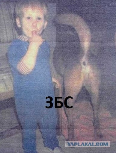 Прыжки в воду на блопе