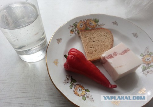 Больничная еда разных стран мира