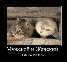 Женские мысли о мужском потребительстве