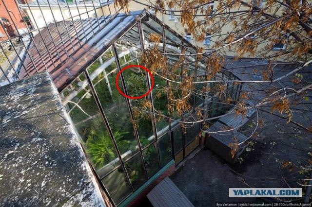 Прогулка по Кремлю.