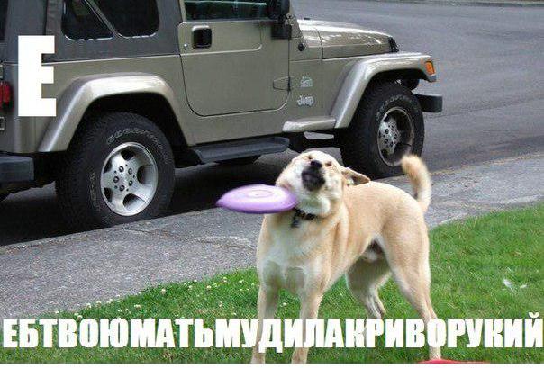Картинки с инета.