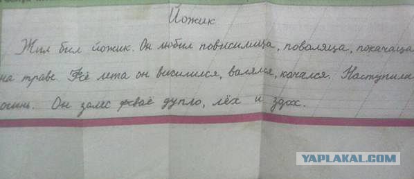 Последствия укуса паука-птицееда