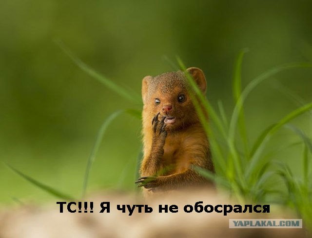 Неожиданно за дверью
