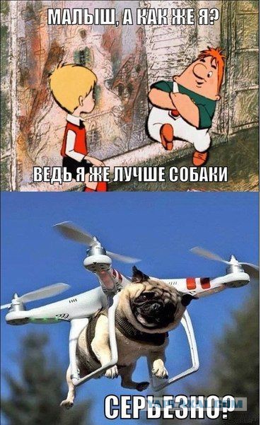 Забавные картинки из Сети