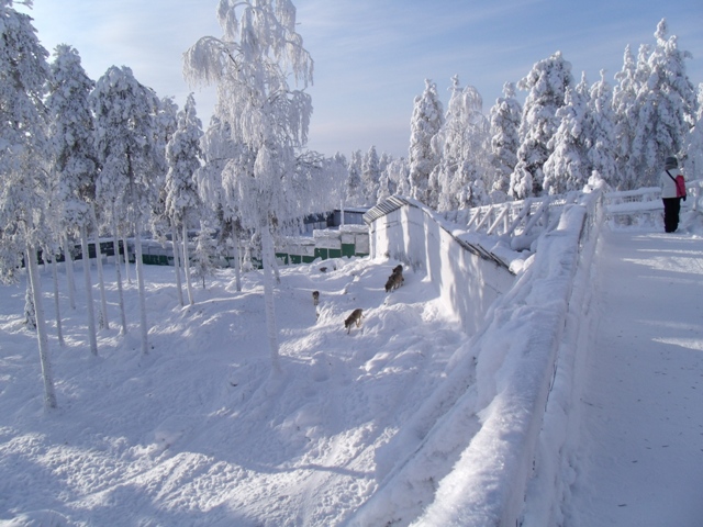 Бродячий зоопарк