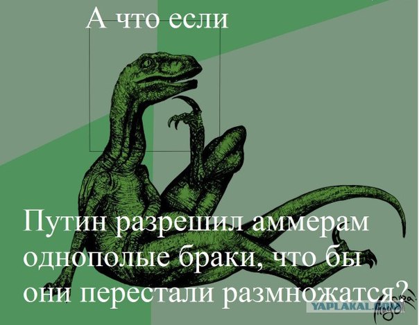 Мешанина прикольных картинок из сети