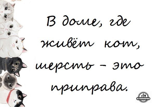 Немного веселых картинок