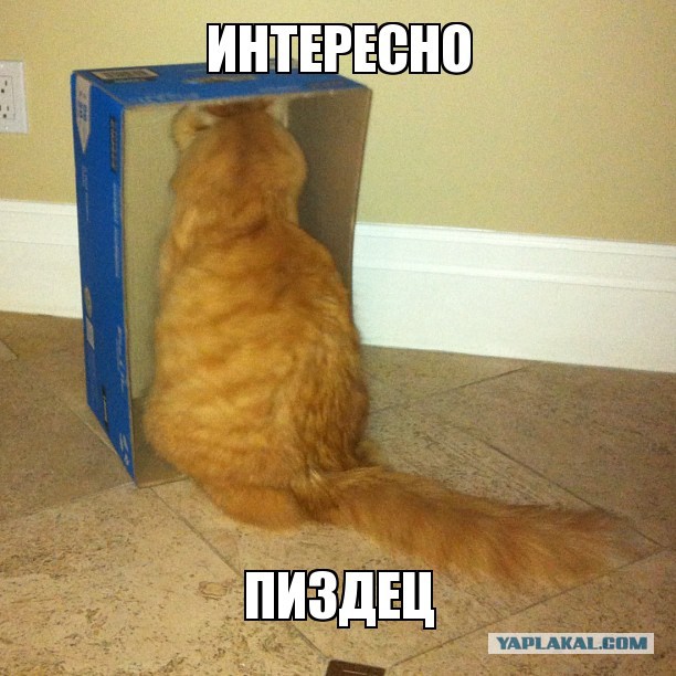 «Отмазал».