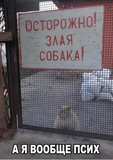 Я щас офигел конкретно