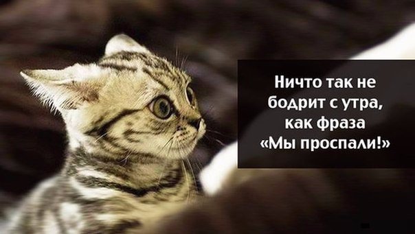 Подборка картинок