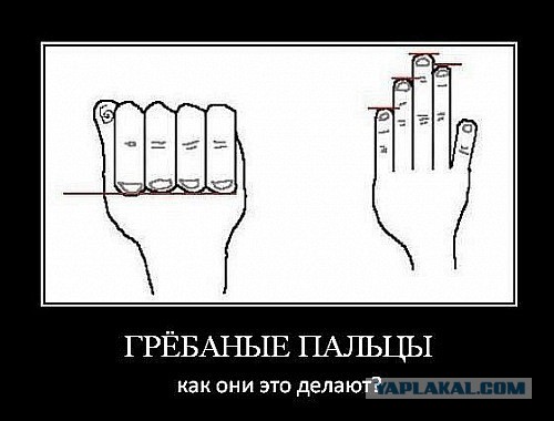 Веселые картинки.