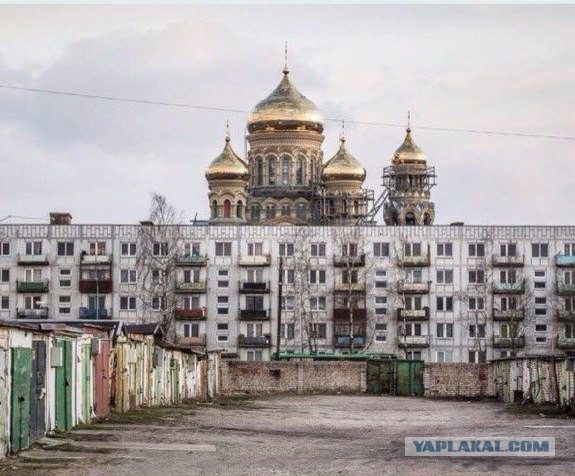 Свежая подборка прикольных картинок