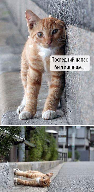 Уж накрыло так накрыло!..