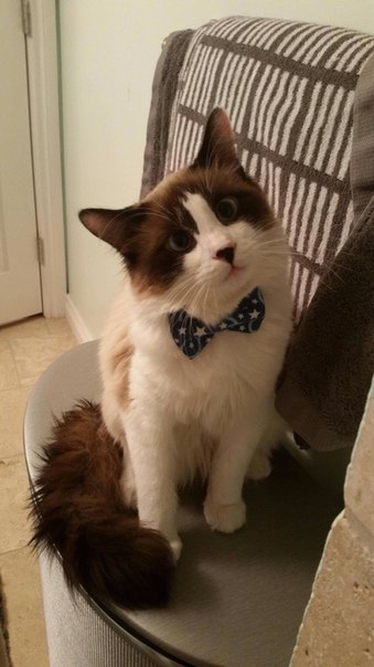 Подборка картинок на среду