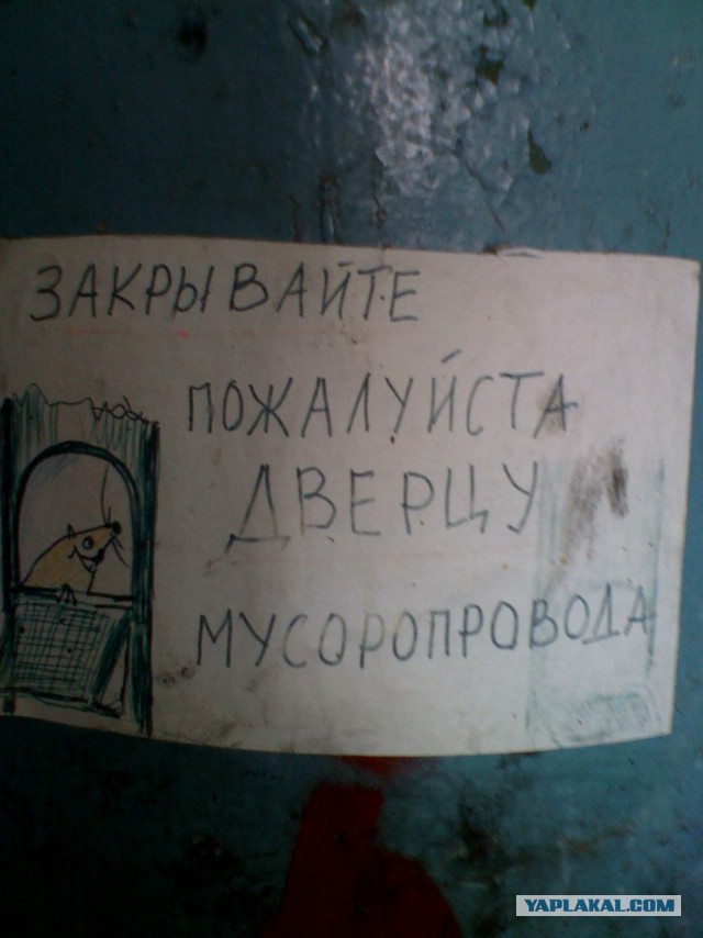 В мире животных: сказка о маленьком, но очень храбром мышонке