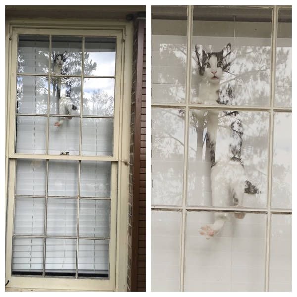 Подборка интересных и веселых картинок