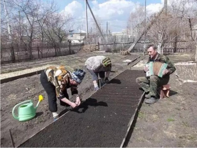 Дачные приколы