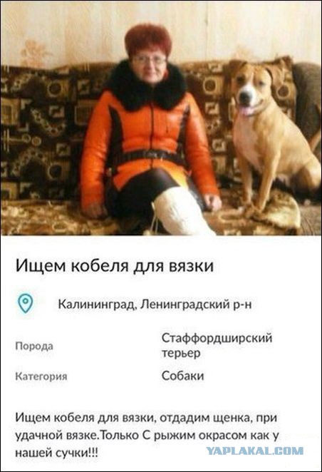 Смешные комментарии 05.06.2016