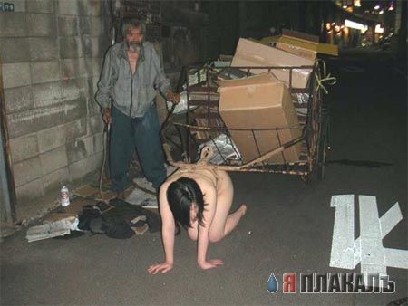 Битва Соффи и Эдуардо на картинках