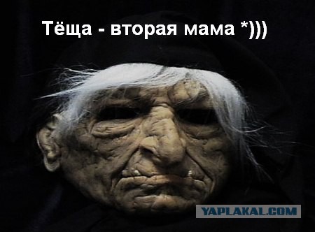 К жене любимой переехал. ТЁЩА