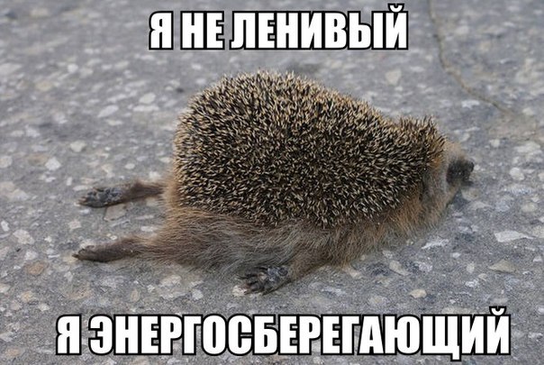 Прикольные животные
