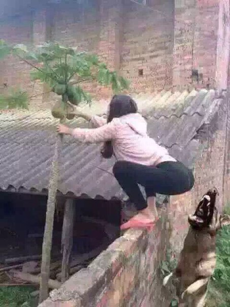 Ужасы и приколы из соцсетей 18+