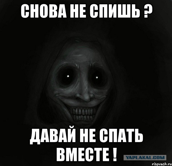 Как в зимнем лесу живется?