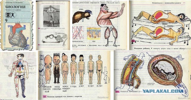 Рисунки девушки из сети