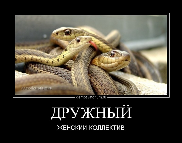 Удобная модель женских джинсов, которые понравятся каждому мужчине