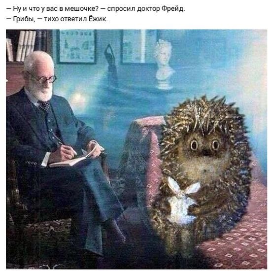 Субботняя деградация