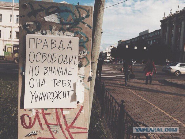 По родным просторам