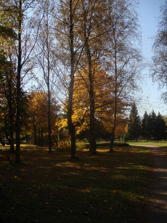 Осенняя тема. На подходе к зиме.