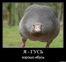 О тяжелой женской доле
